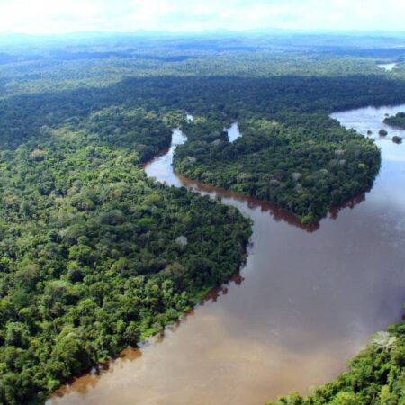 Amazônia Paraense