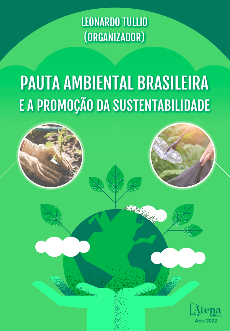 Pauta ambiental brasileira e a promoção da sustentabilidade